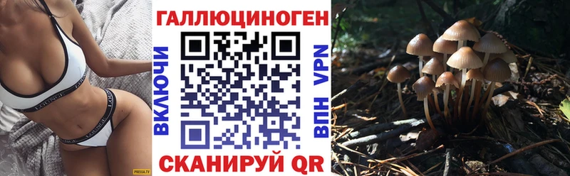 Галлюциногенные грибы GOLDEN TEACHER  цены наркотик  Горнозаводск 